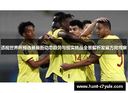 透视世界杯预选赛最新动态趋势与现实挑战全景解析发展方向观察